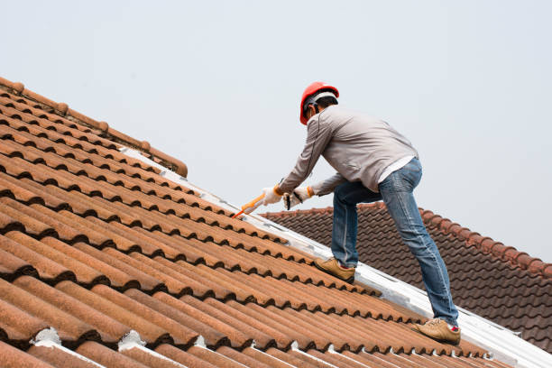 Warren, MI Roofing services Company